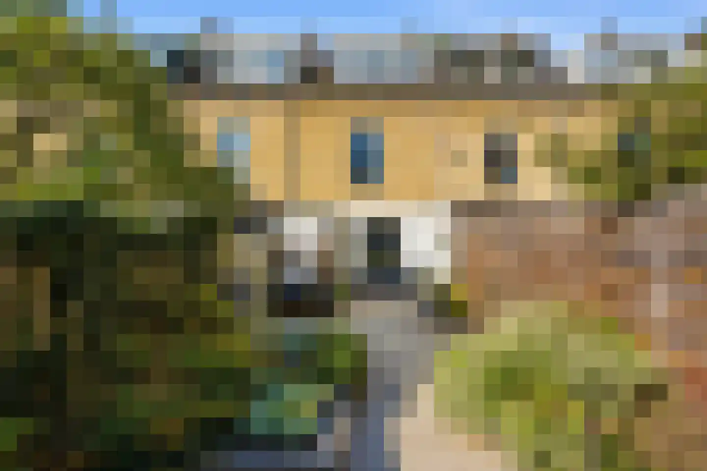 Veerdam 41 Kinderdijk thumbnail 32