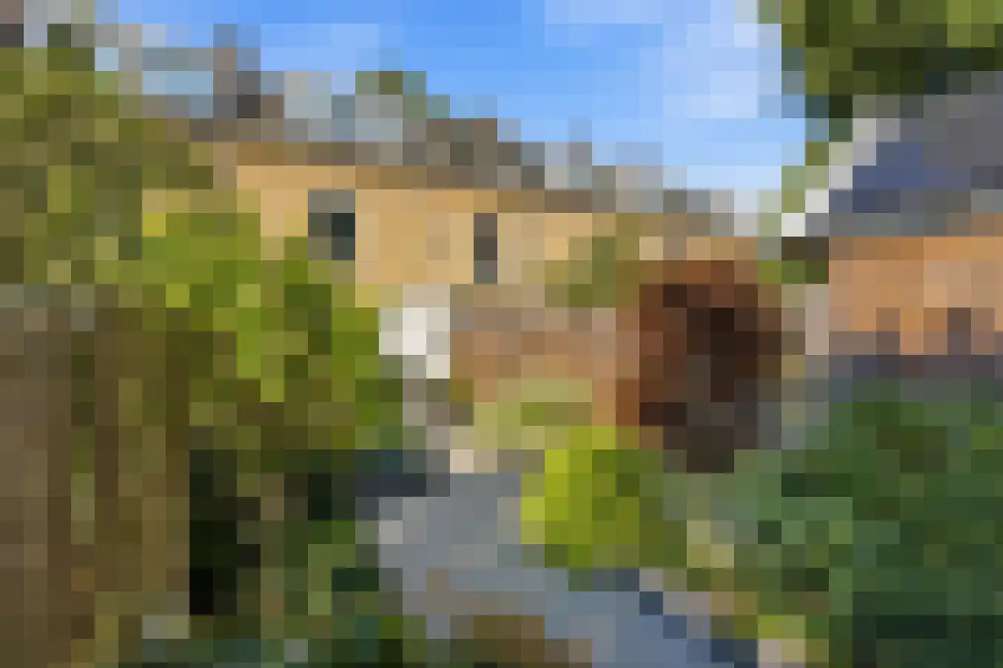 Veerdam 41 Kinderdijk thumbnail 34