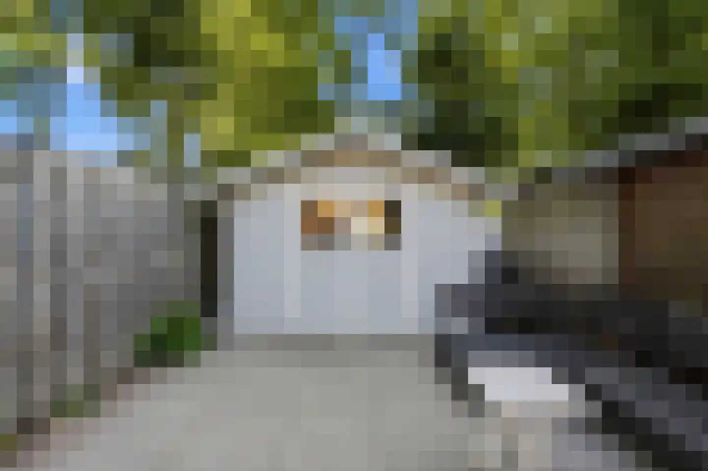 Veerdam 41 Kinderdijk thumbnail 36