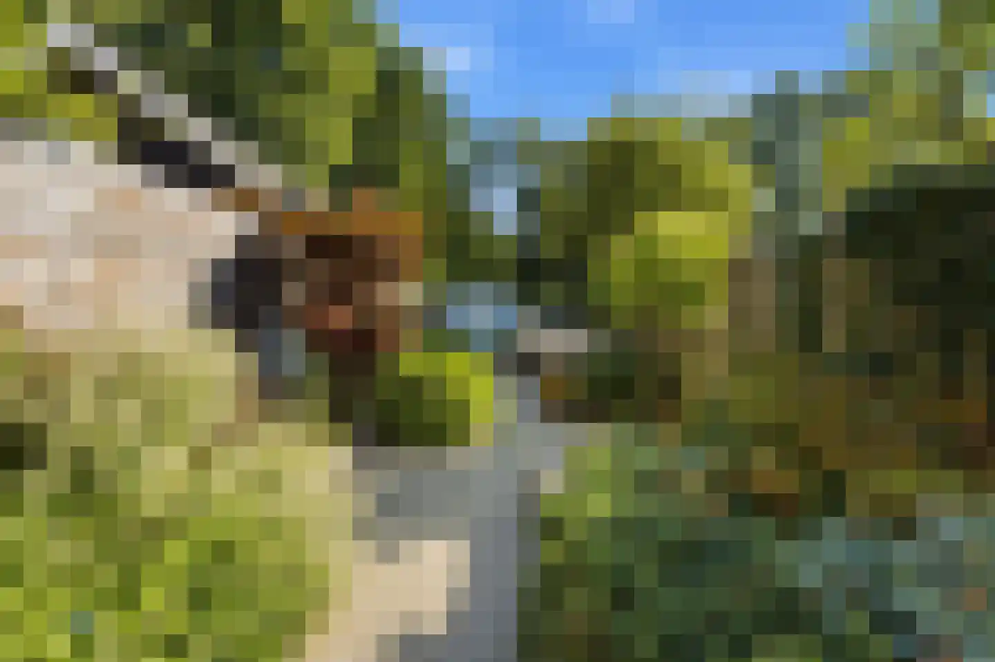 Veerdam 41 Kinderdijk thumbnail 39