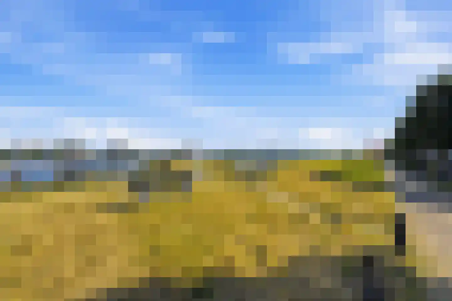 Veerdam 41 Kinderdijk thumbnail 43