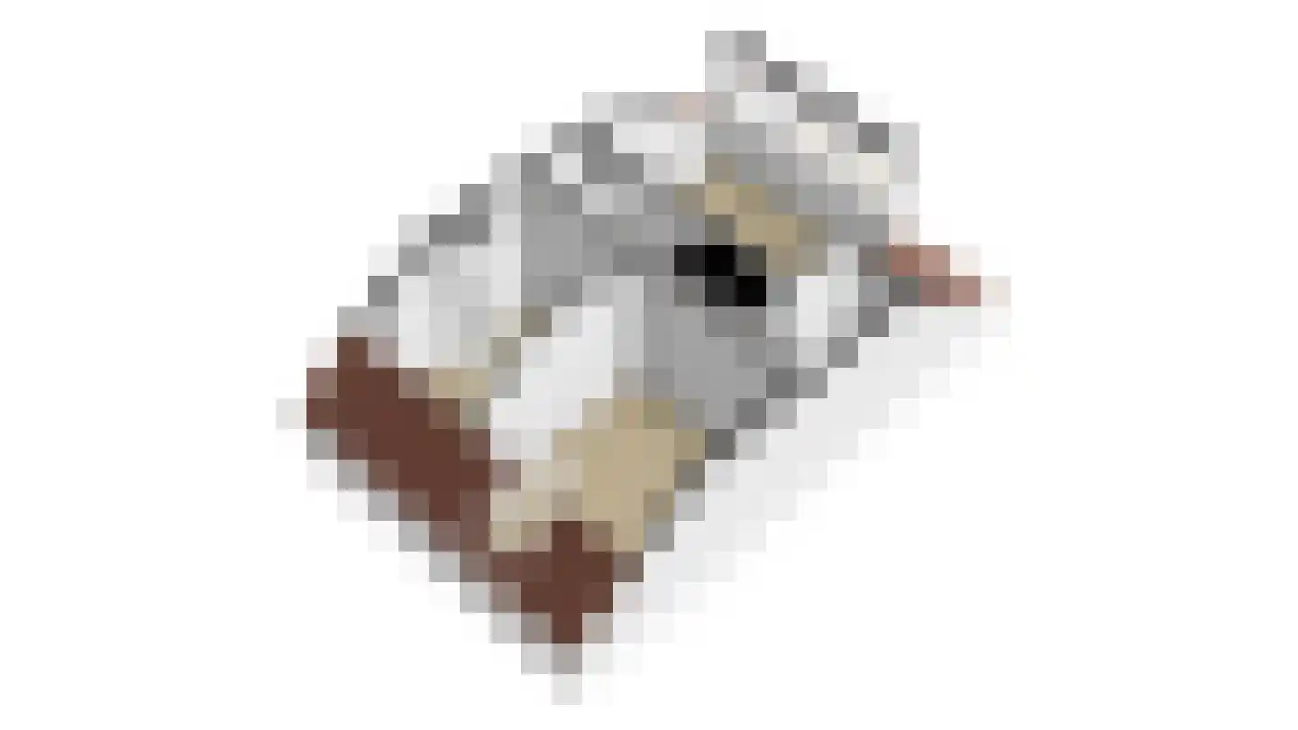 Veerdam 41 Kinderdijk thumbnail 49