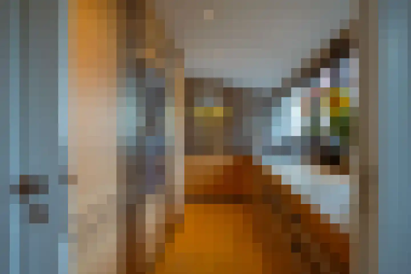 Veerdam 78 Kortgene thumbnail 18
