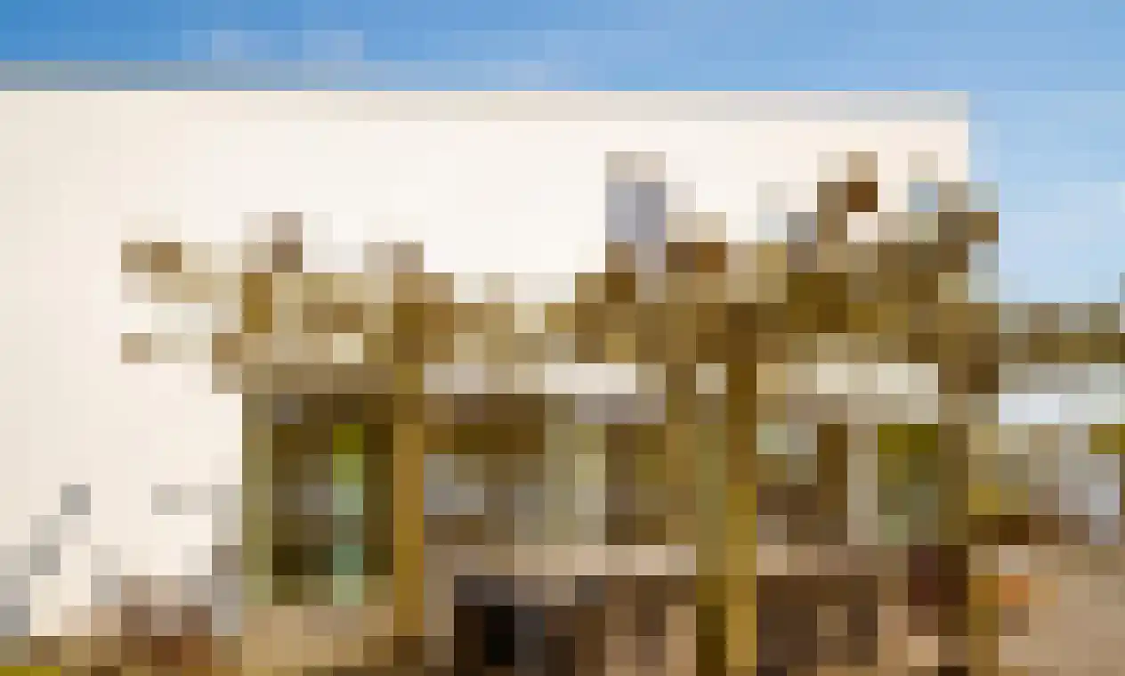 Veerdam 78 Kortgene thumbnail 26
