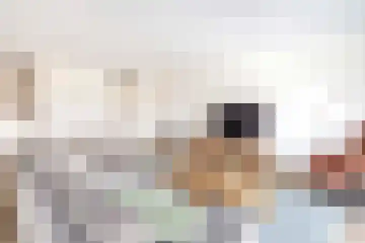 Veerdam 8 Krimpen aan den IJssel thumbnail 18