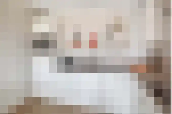 Veerdam 8 Krimpen aan den IJssel thumbnail 20