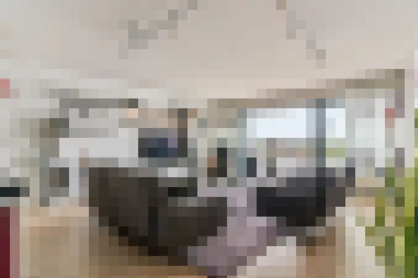 Veerdam 89 Papendrecht thumbnail 10