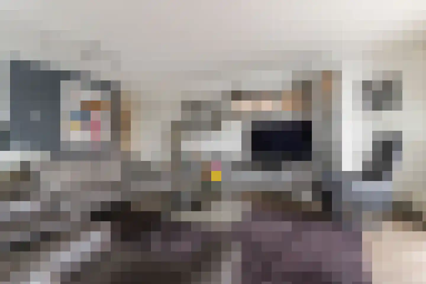 Veerdam 89 Papendrecht thumbnail 12