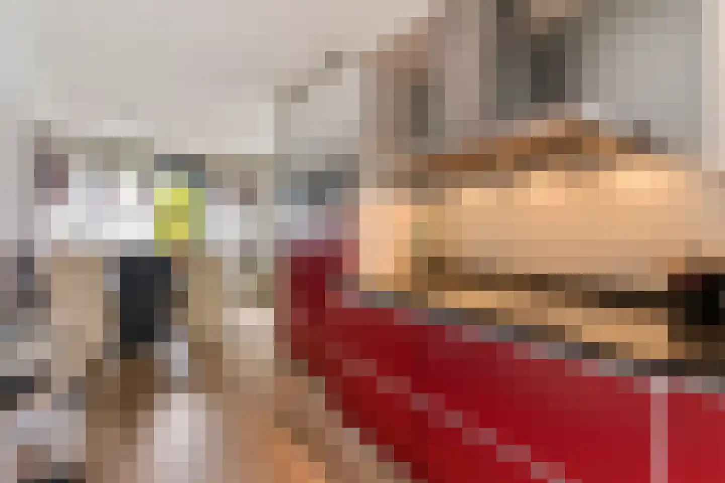 Veerdam 89 Papendrecht thumbnail 17