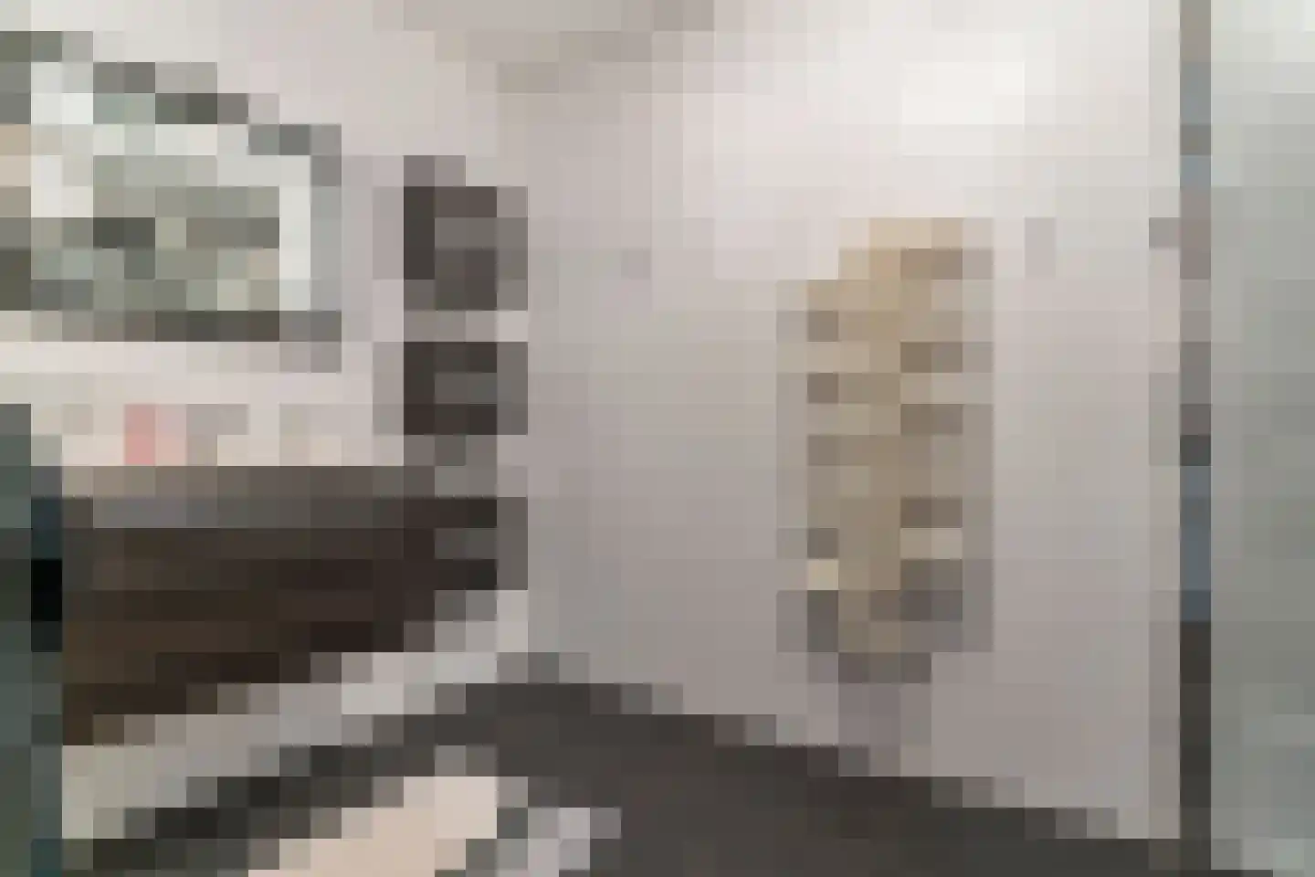 Veerdam 89 Papendrecht thumbnail 32