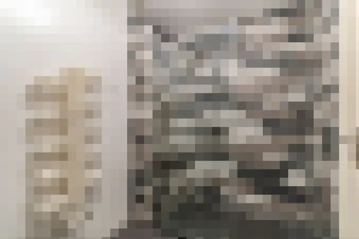 Veerdam 89 Papendrecht thumbnail 33