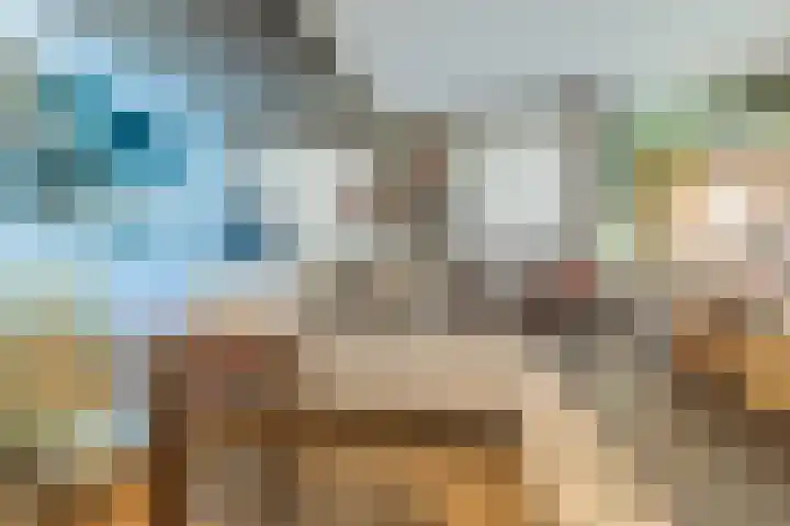Veerdam 99 Papendrecht thumbnail 13