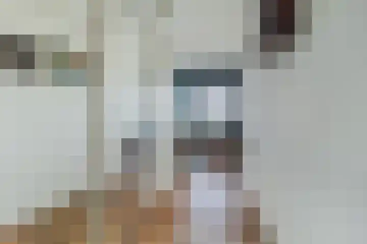 Veerdam 99 Papendrecht thumbnail 15