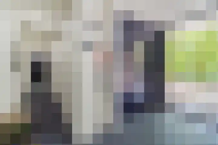 Veerdam 99 Papendrecht thumbnail 23
