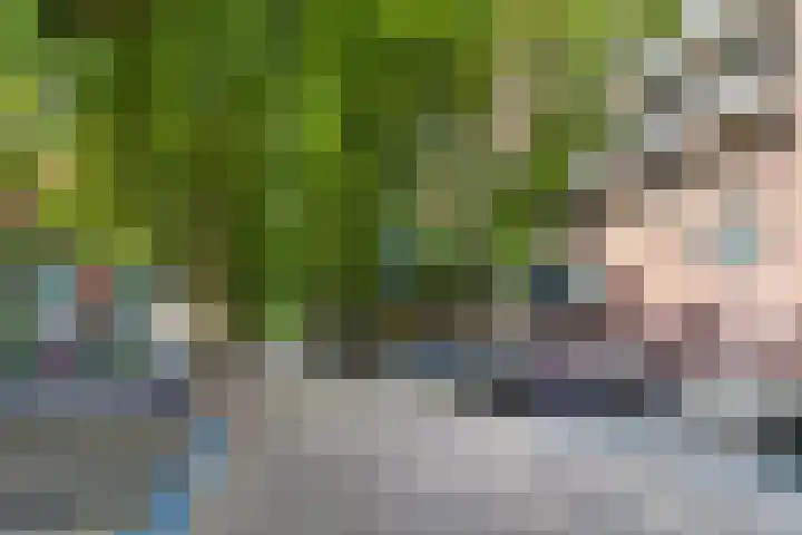 Veerdam 99 Papendrecht thumbnail 29