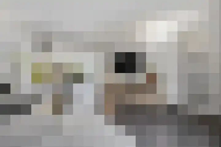 Veerdonk 5 Breda thumbnail 18