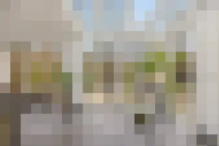 Veerdonk 5 Breda thumbnail 21