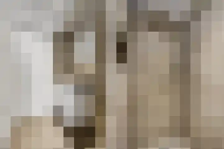 Veerdonk 5 Breda thumbnail 25