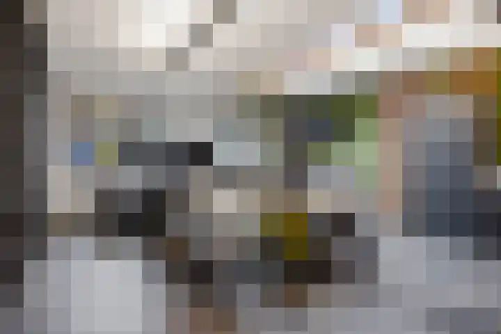Veerdonk 5 Breda thumbnail 28