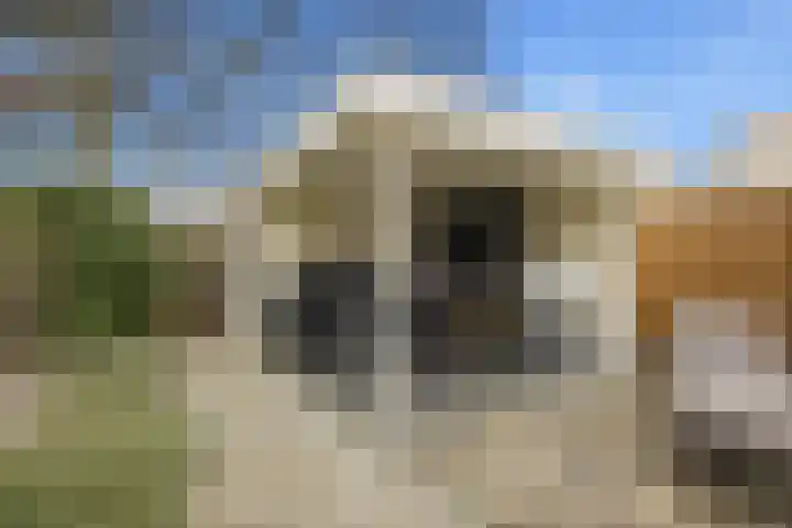 Veerdonk 5 Breda thumbnail 34