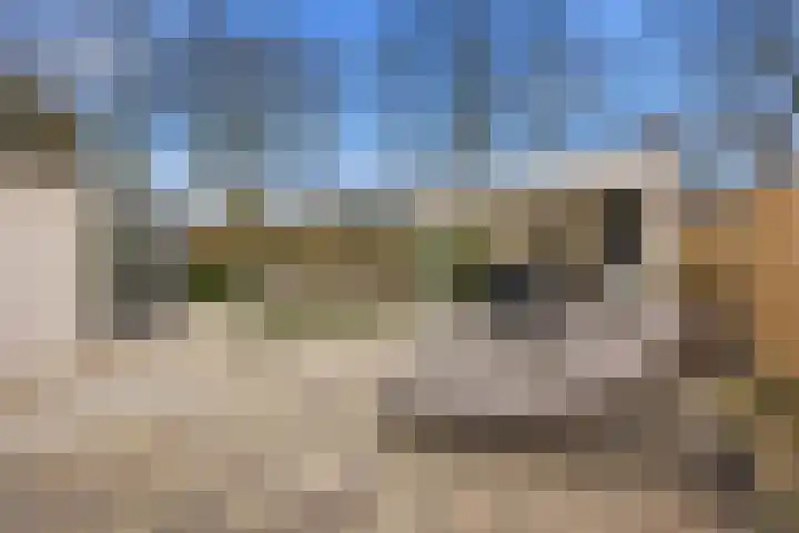 Veerdonk 5 Breda thumbnail 37