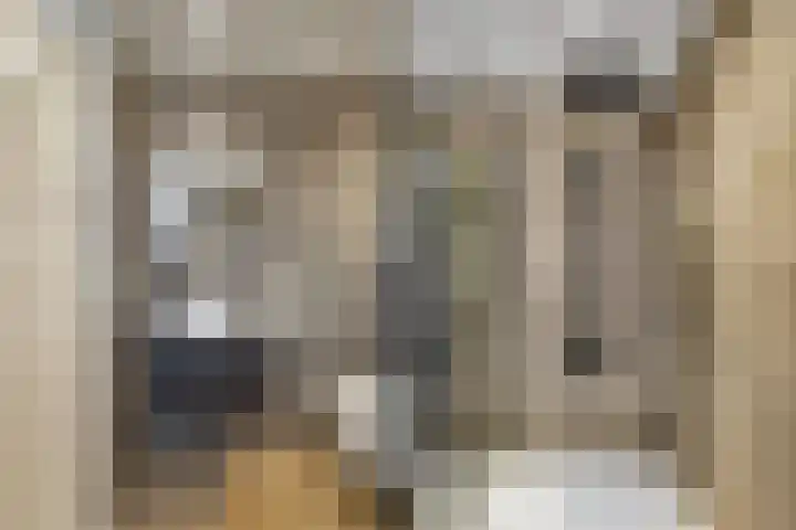 Veerdonk 5 Breda thumbnail 40