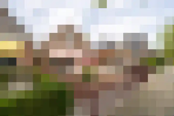 Veerdonk 5 Breda thumbnail 56