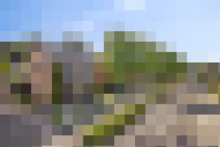 Veerdonk 5 Breda thumbnail 8