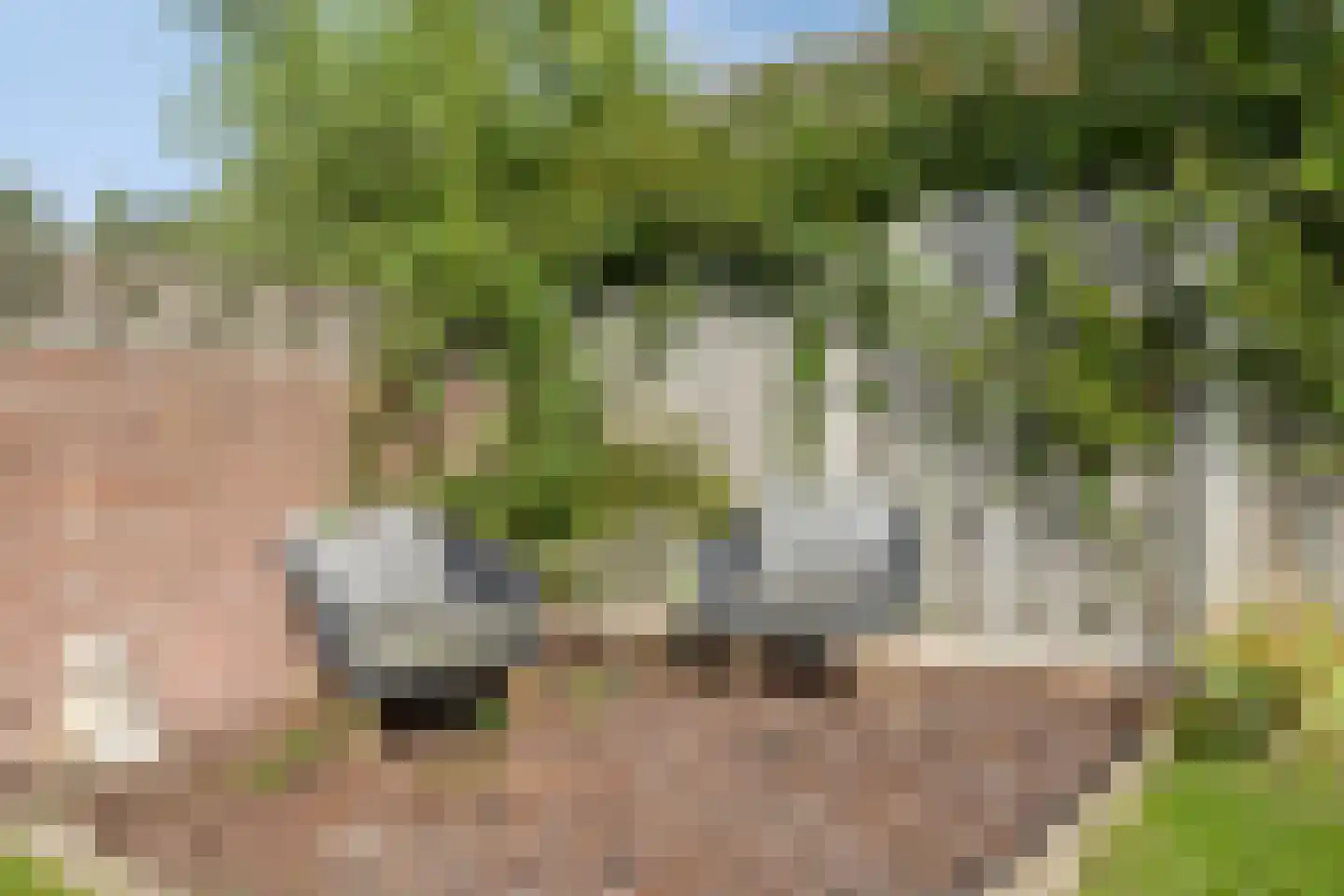 Veerhoeklaan 40 Oostburg thumbnail 28