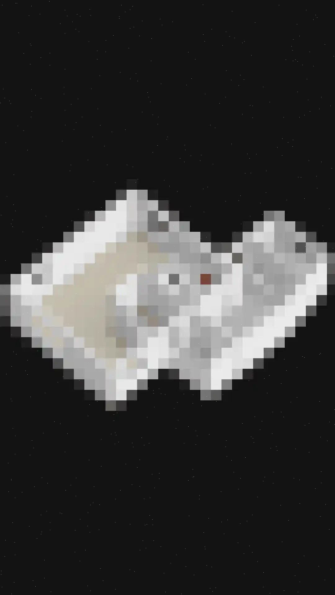 Veerhoeklaan 40 Oostburg thumbnail 35