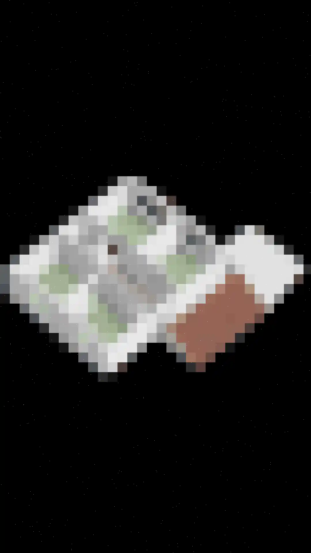 Veerhoeklaan 40 Oostburg thumbnail 36