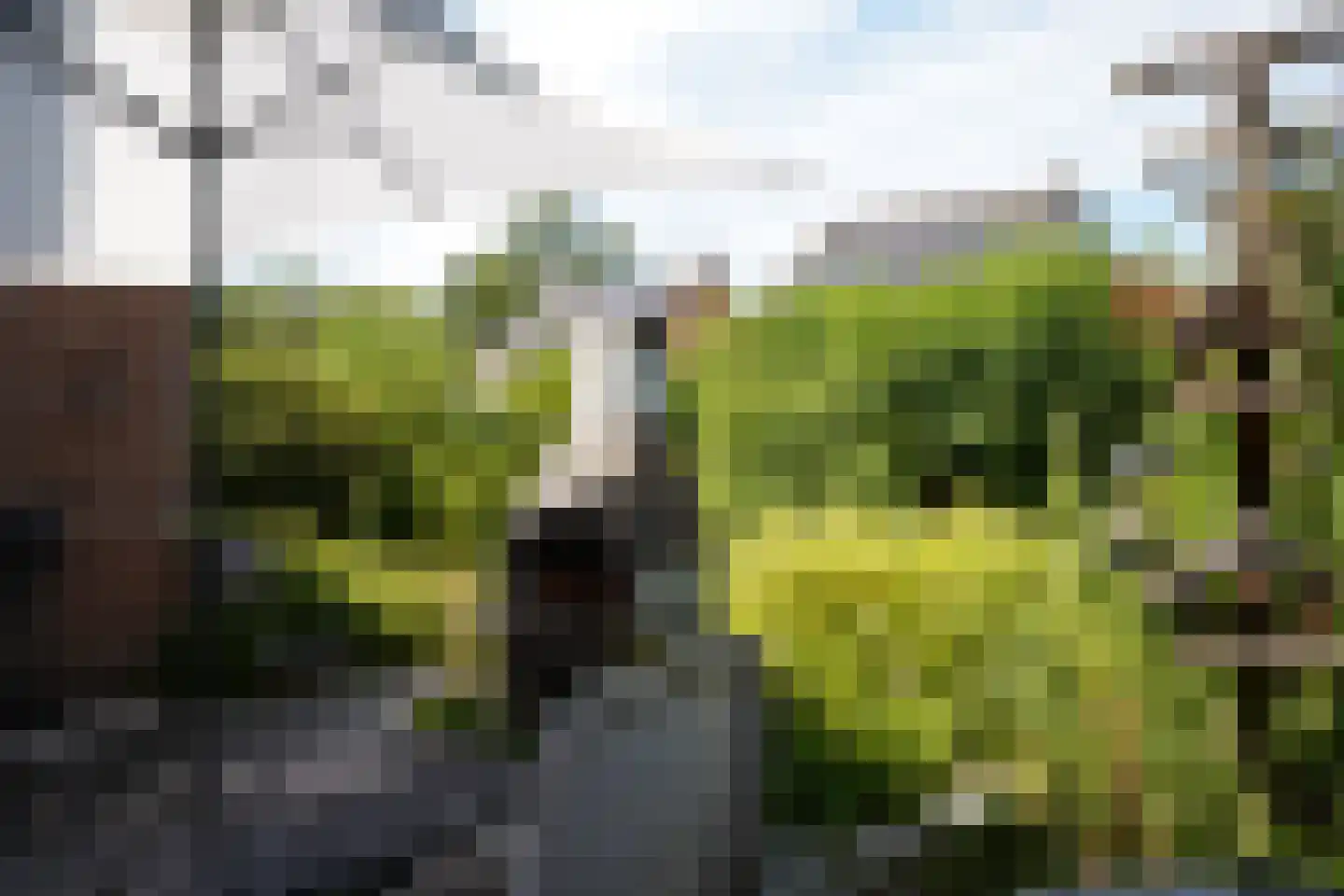 Veerhoeklaan 48 Oostburg thumbnail 24