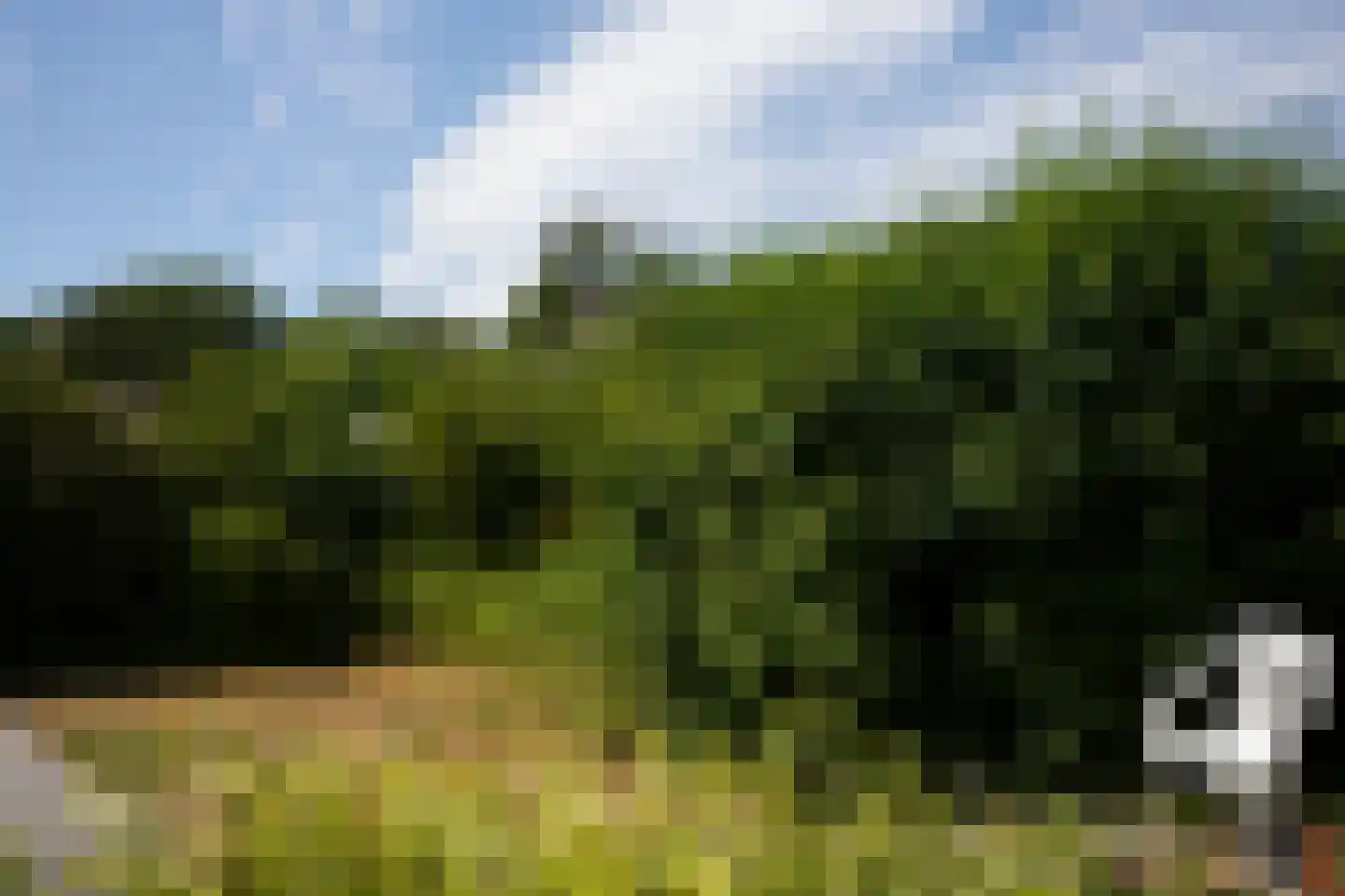 Veerhoeklaan 48 Oostburg thumbnail 25