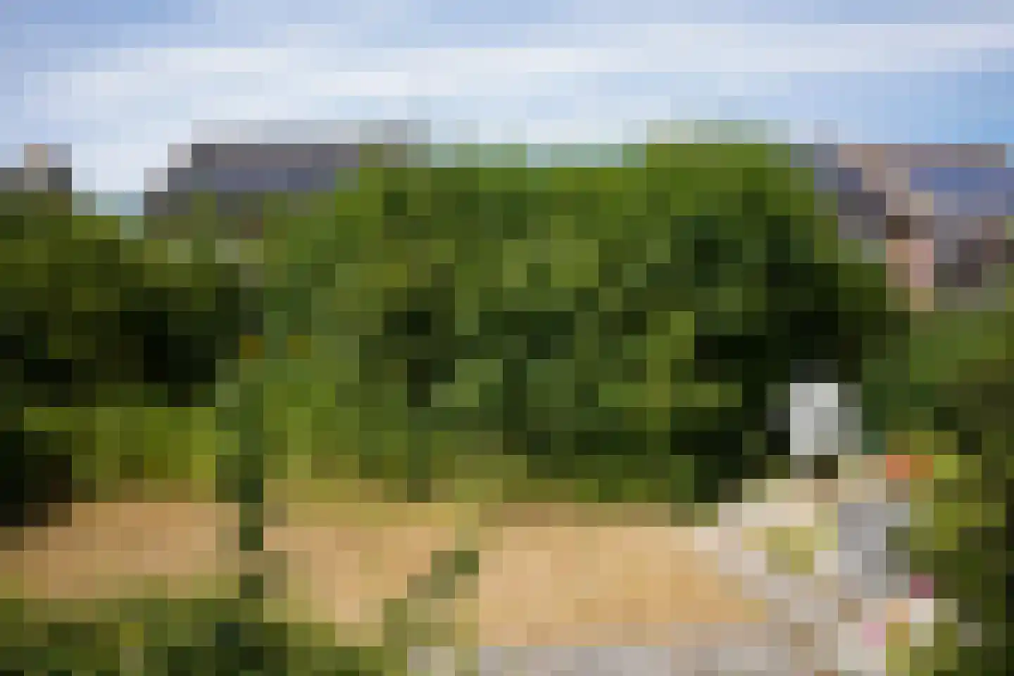 Veerhoeklaan 48 Oostburg thumbnail 26