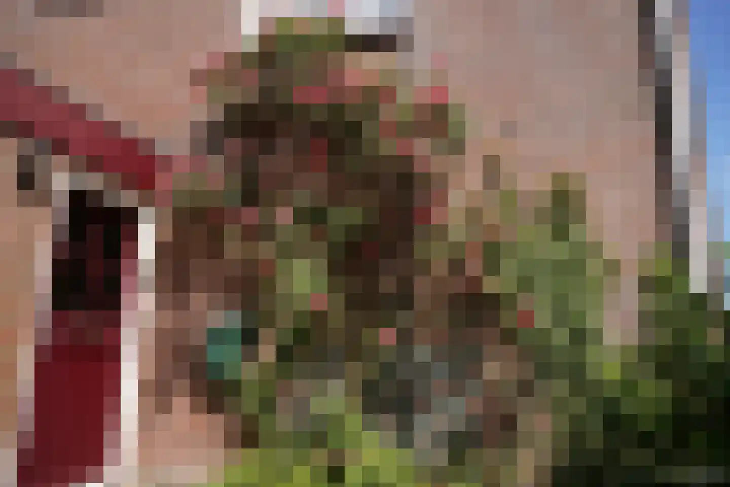 Veerhoeklaan 48 Oostburg thumbnail 30