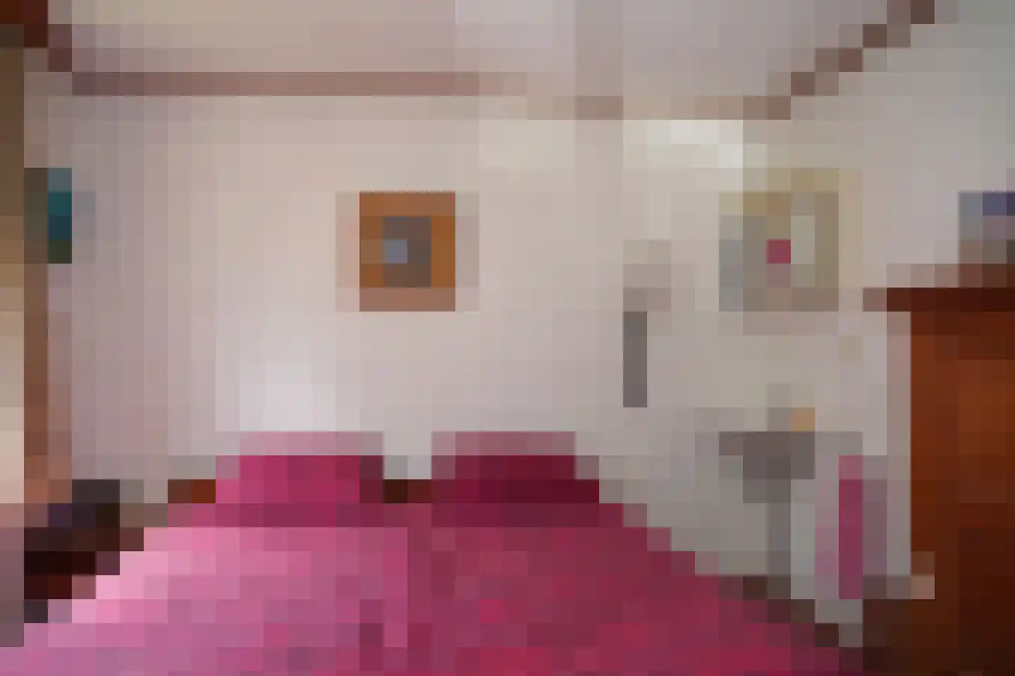 Veerhoeklaan 48 Oostburg thumbnail 8