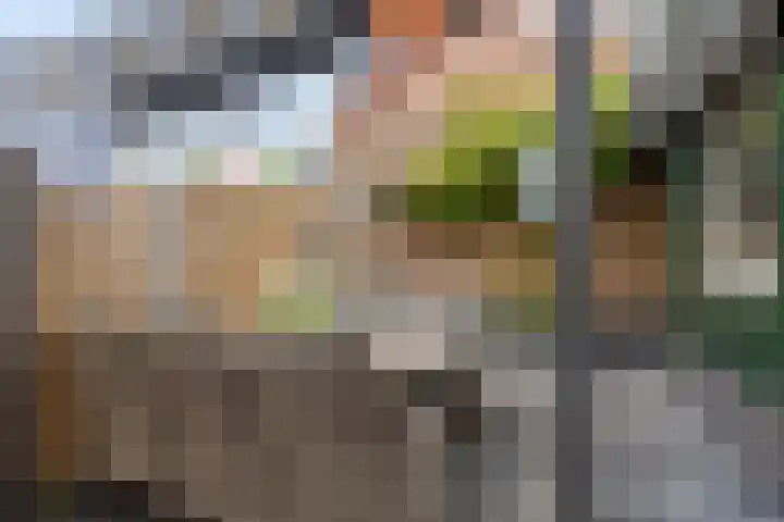 Veeringstraat 11 Zaandam thumbnail 12