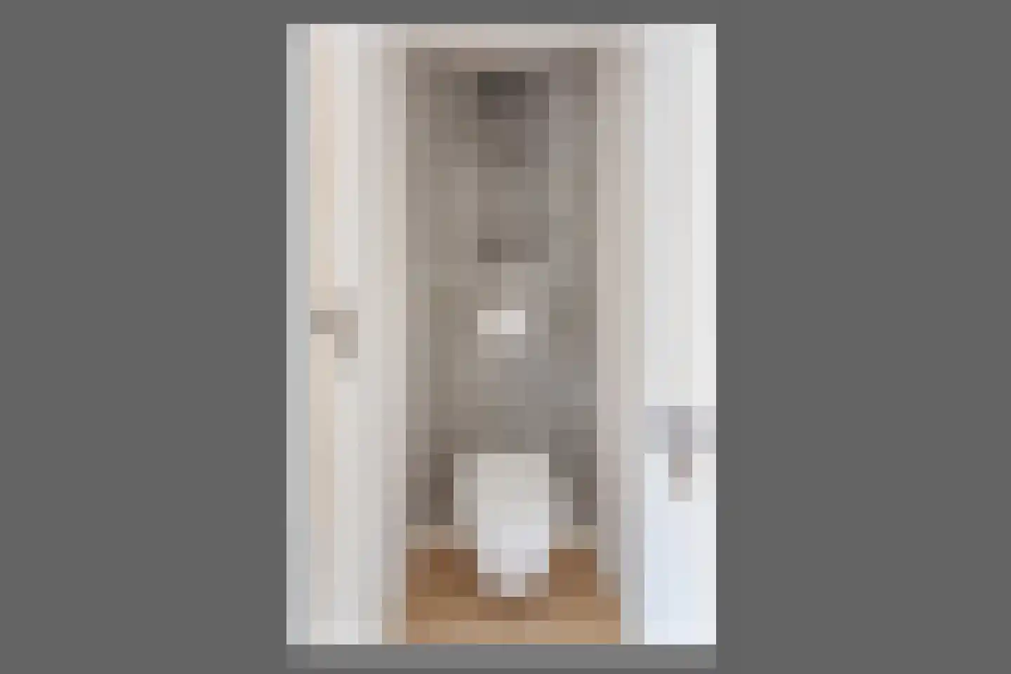 Veeringstraat 19 Zaandam thumbnail 39