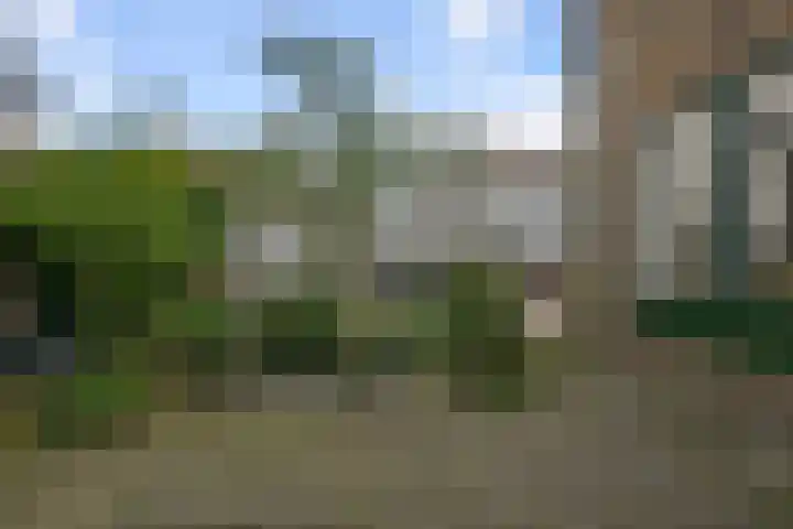 Veeringstraat 29 Zaandam thumbnail 14