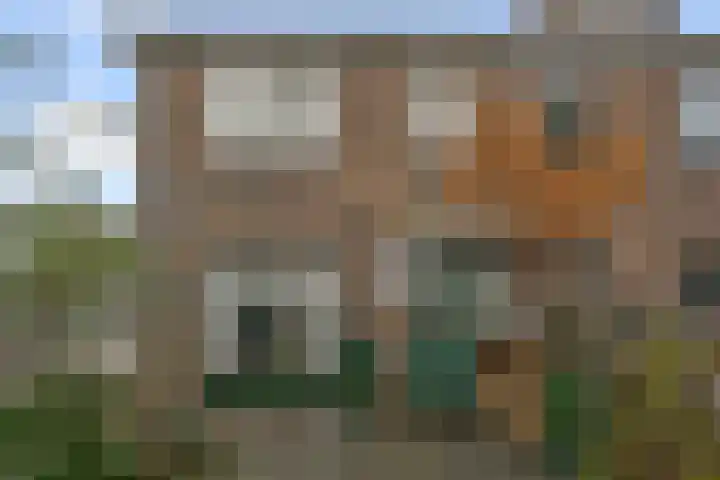 Veeringstraat 29 Zaandam thumbnail 15