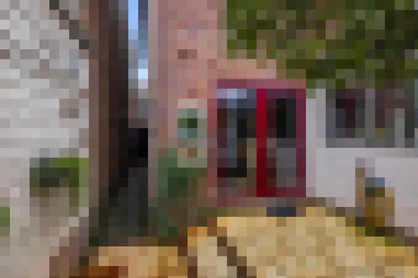 Veeringstraat 37 Zaandam thumbnail 18