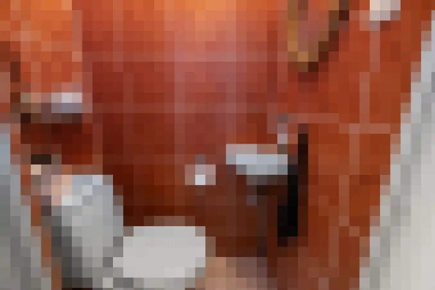 Veeringstraat 37 Zaandam thumbnail 19