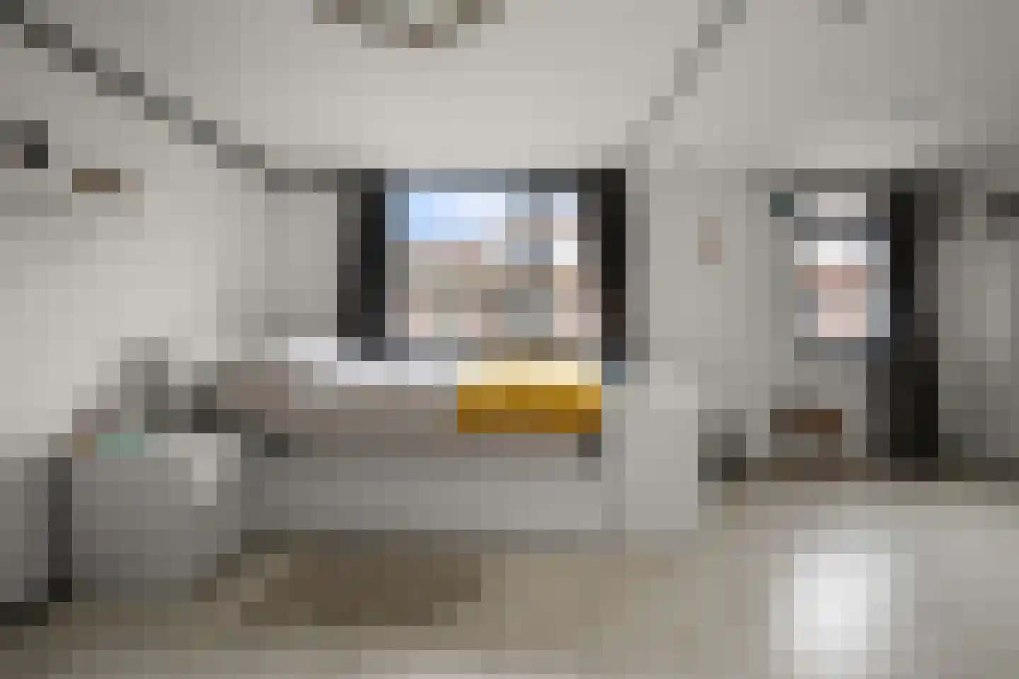 Veeringstraat 37 Zaandam thumbnail 24