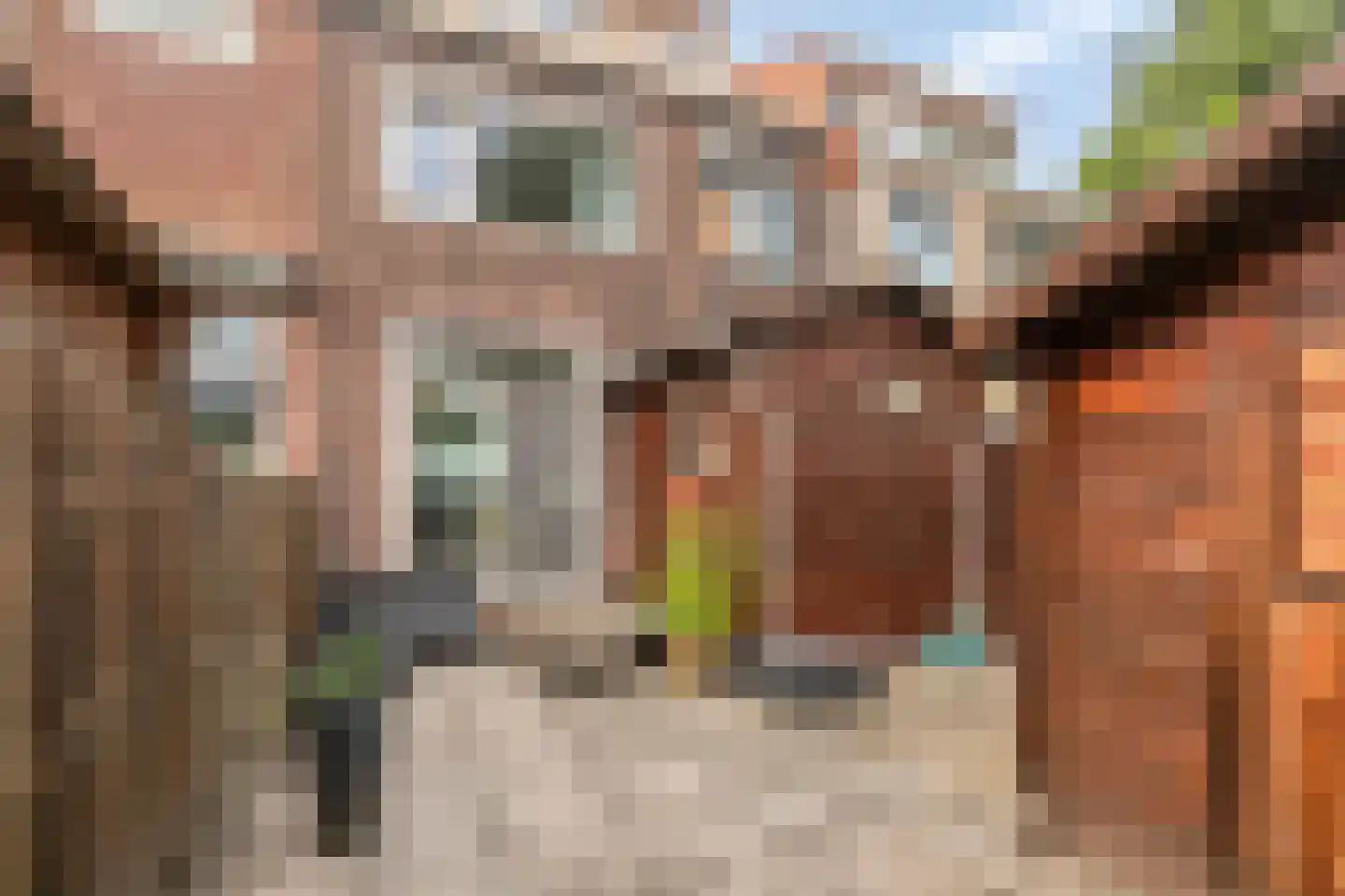 Veeringstraat 64 Zaandam thumbnail 11
