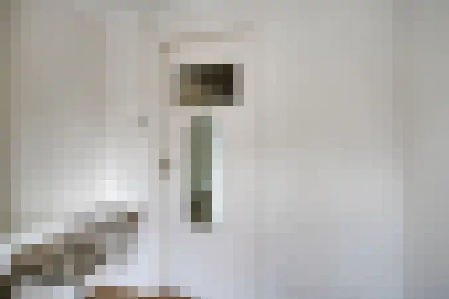 Veeringstraat 68 Zaandam thumbnail 28