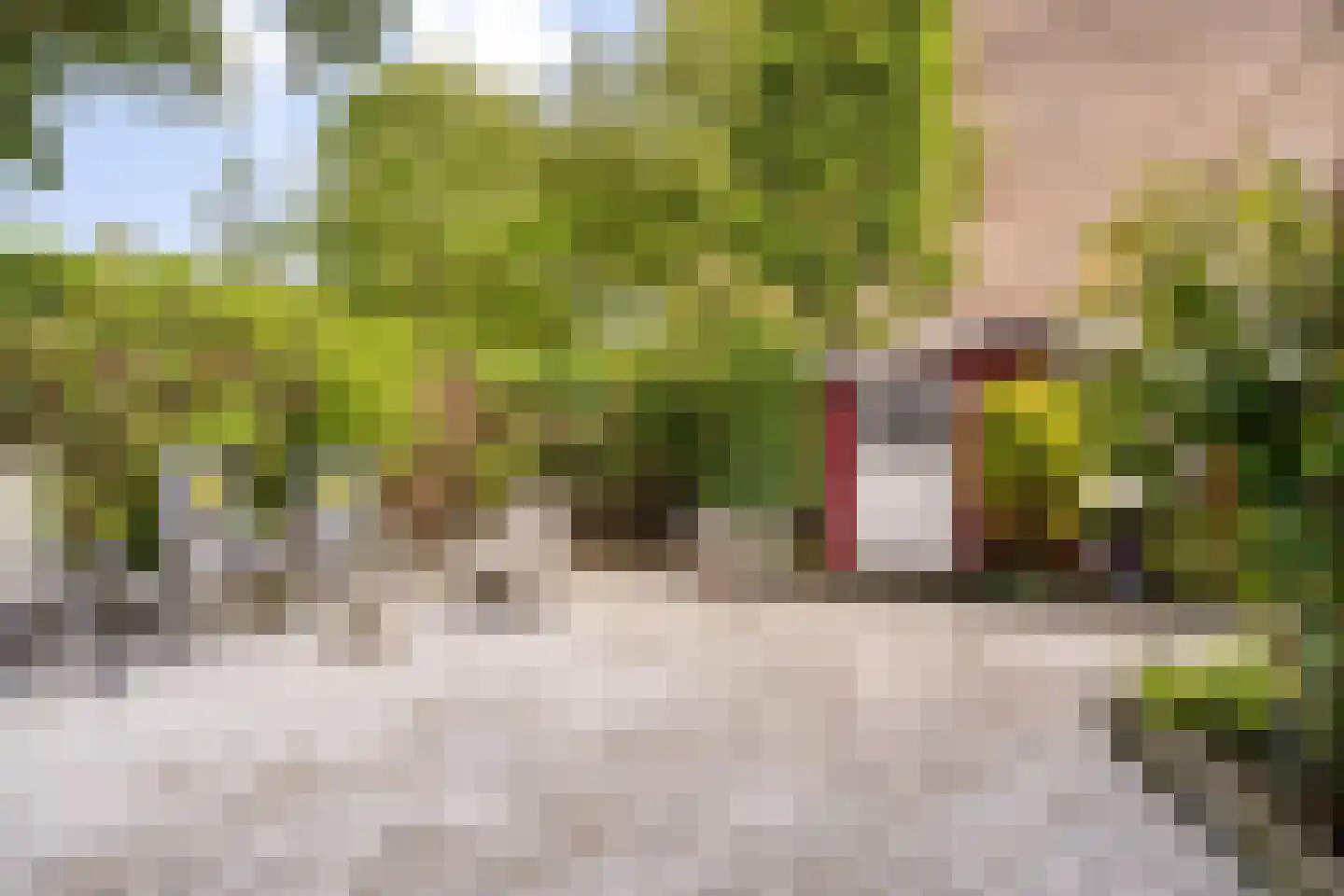Veeringstraat 68 Zaandam thumbnail 34