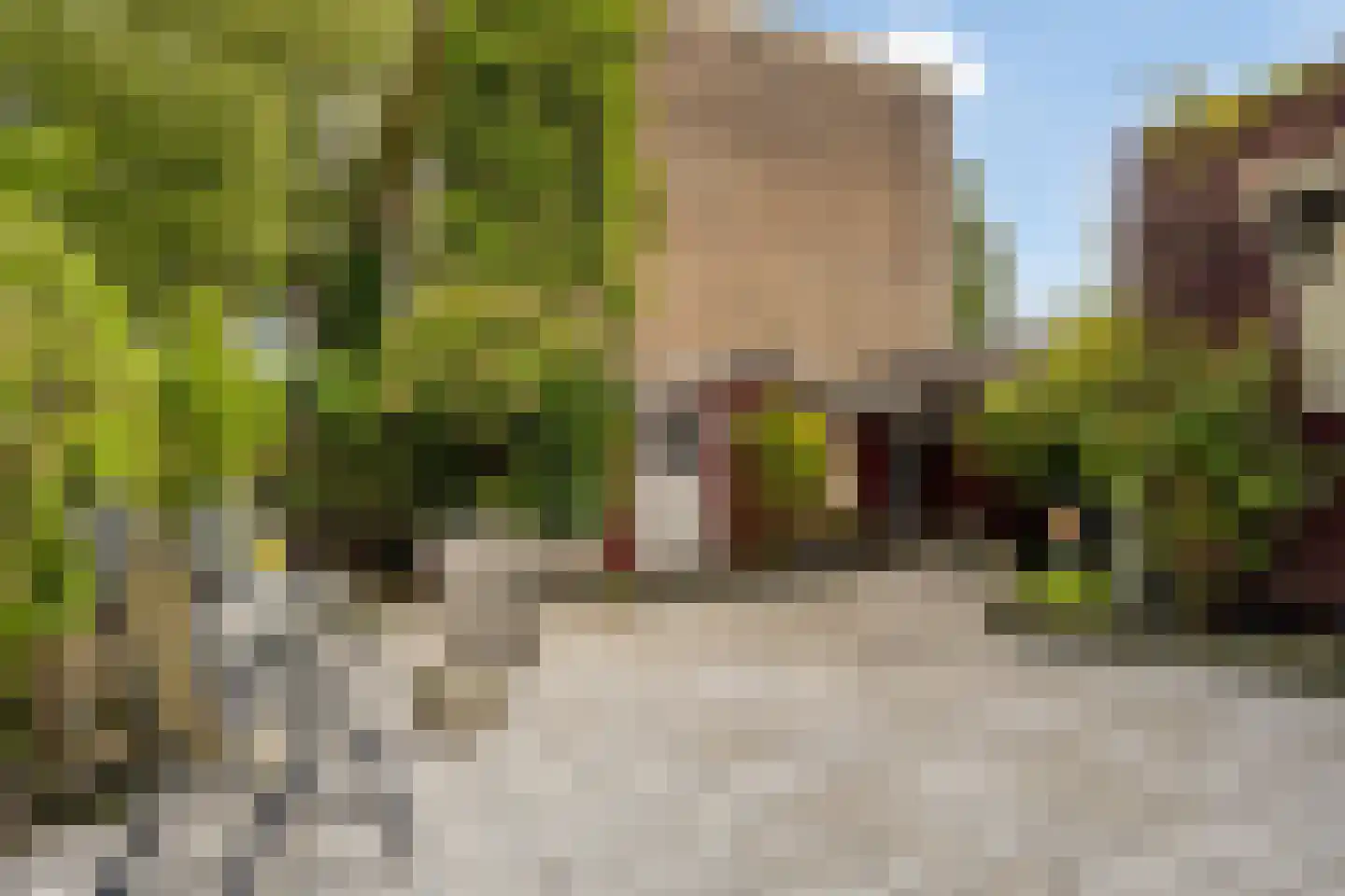 Veeringstraat 68 Zaandam thumbnail 35