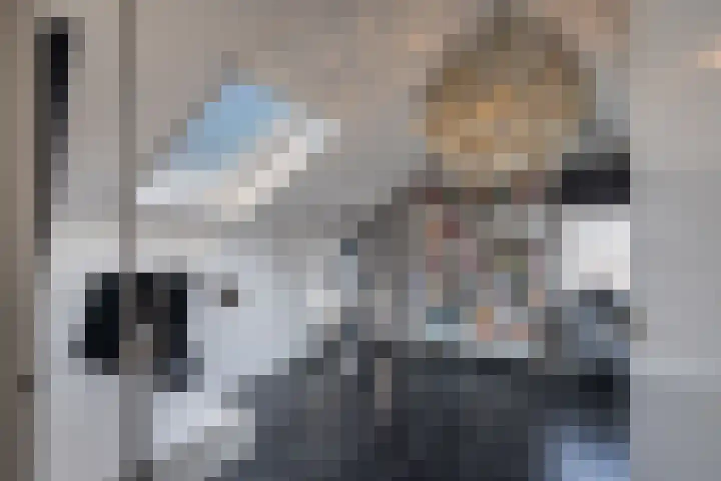 Veeringveld 10 Koog aan de Zaan thumbnail 32