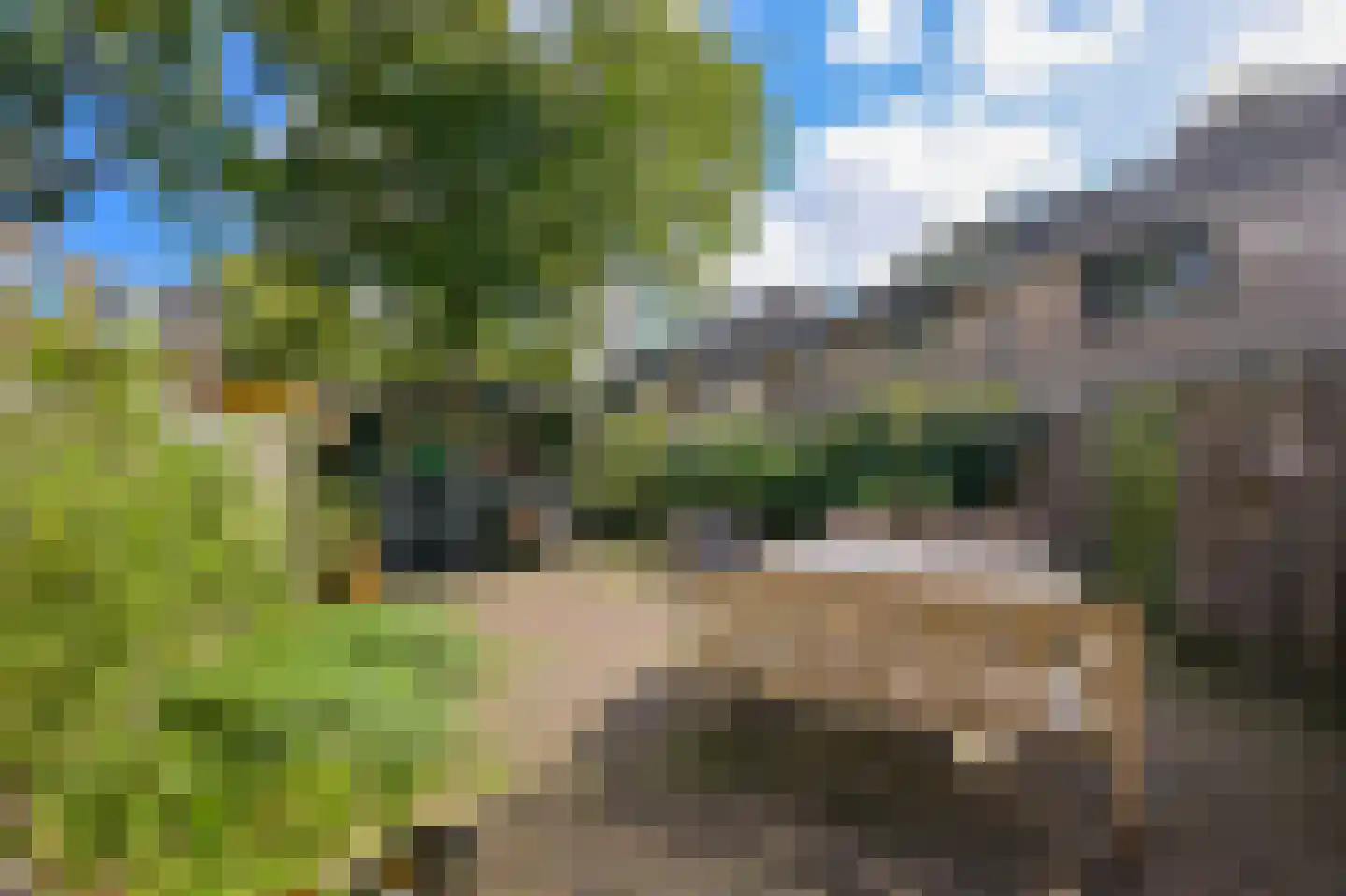 Veeringveld 12 Koog aan de Zaan thumbnail 12