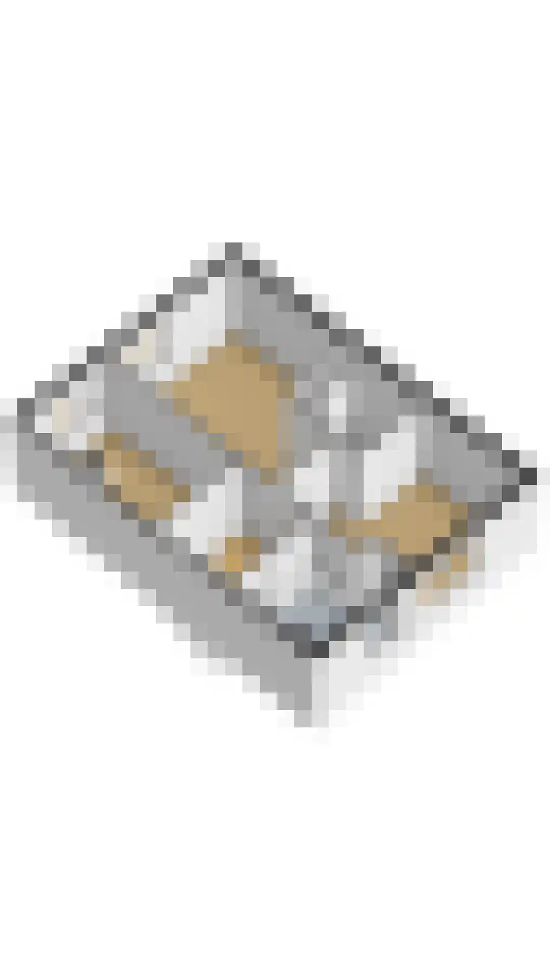 Veeringveld 12 Koog aan de Zaan thumbnail 48